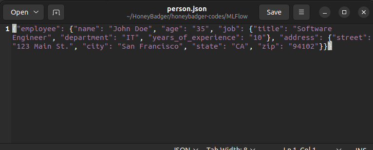 JSON File